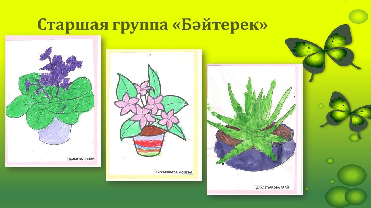 Көрме "Менің сүйікті бөлме гүлдерім"