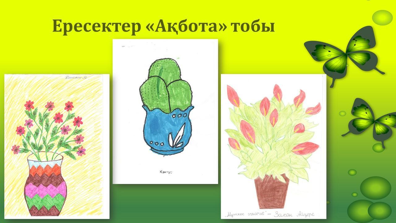 Көрме "Менің сүйікті бөлме гүлдерім"