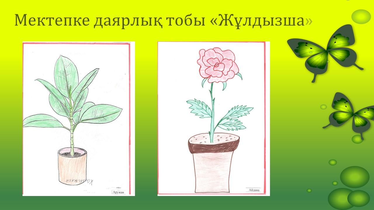 Көрме "Менің сүйікті бөлме гүлдерім"