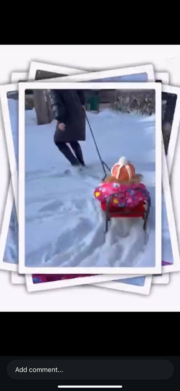 Қысқы ойындар